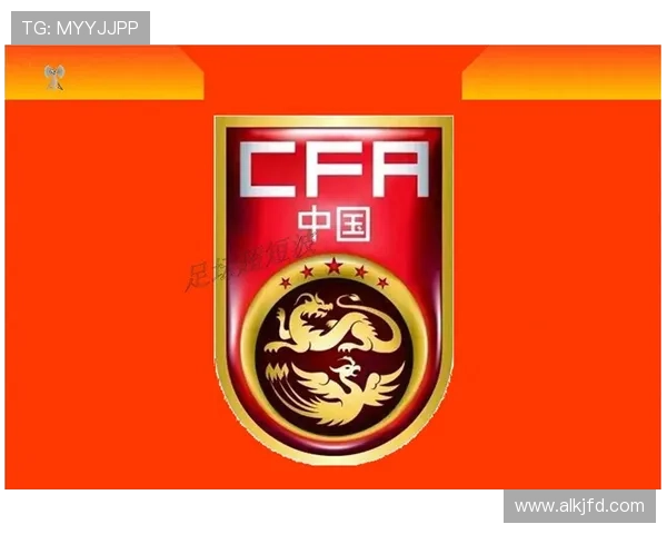 国家队世预赛关键战取胜球迷热议新星崛起与战术革新推动联赛关注度提升